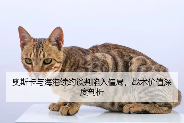 ao-si-ka-yu-hai-gang-xu-yue-tan-pan-xian-ru-jiang-ju-zhan-shu-jia-zhi-shen-du-pou-xi-2-153.jpg