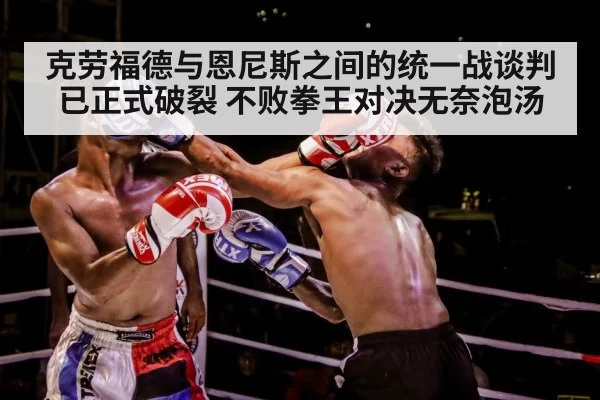 boxer training gloves